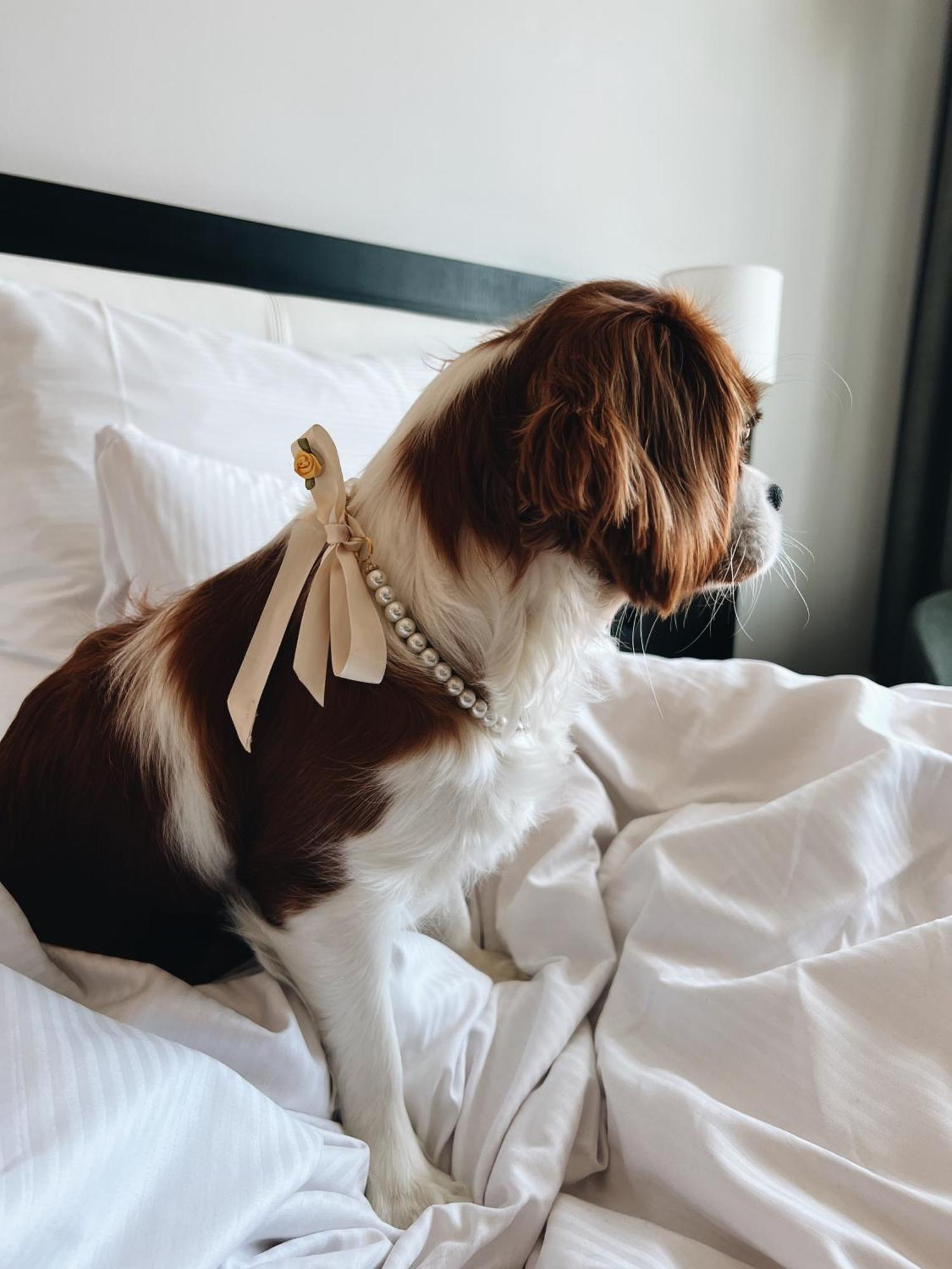 Clarion Stockholm